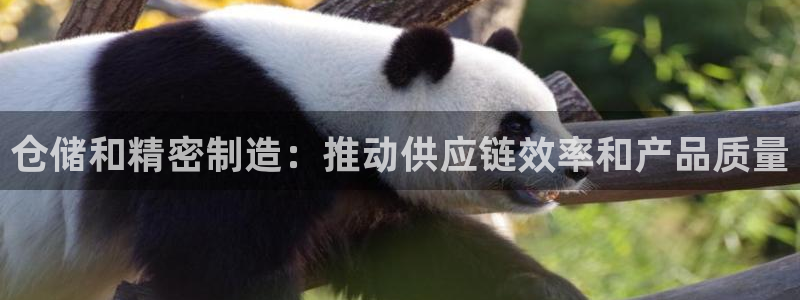 彩神iv真的能赚钱吗：仓储和精密制造：推动供应链效率和产品质量