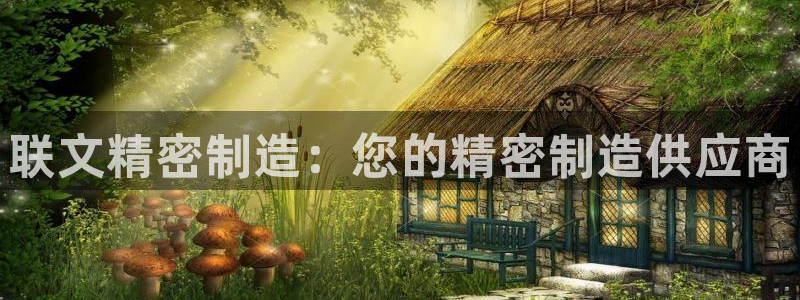 彩神邀请码:00-00-3267：联文精密制造：您的精密制造供应商