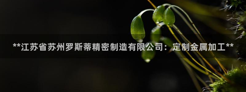 彩神大发cp：**江苏省苏州罗斯蒂精密制造有限公司：定制金属加工**