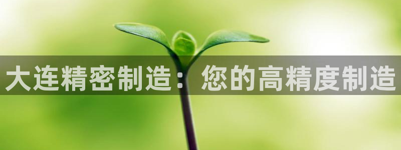 彩神广告有限公司：大连精密制造：您的高精度制造