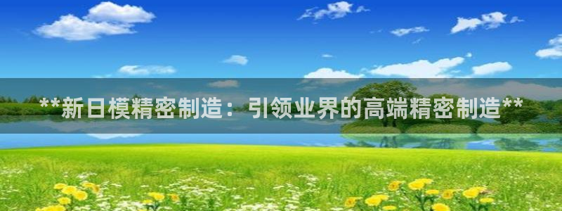 彩神ios下载：**新日模精密制造：引领业界的高端精密制造**