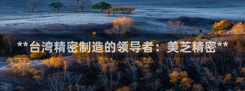 彩神赢钱了吗：**台湾精密制造的领导者：美芝精密**