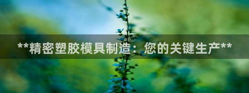 彩神VII官方版