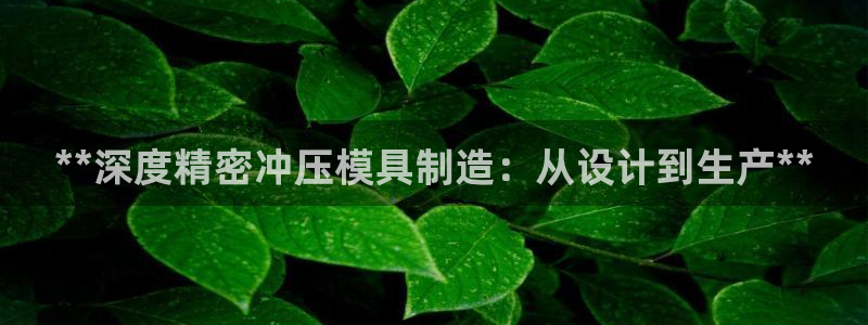 新版彩神v8登录不了