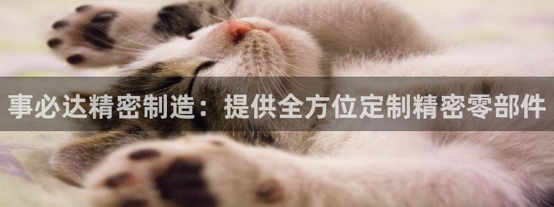 彩神旗下有哪些平台