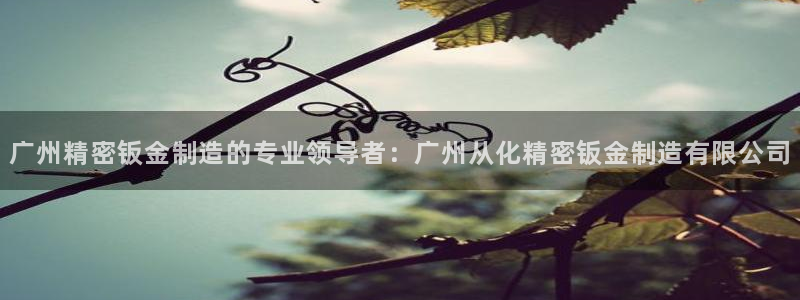 彩神v8下载app5.0