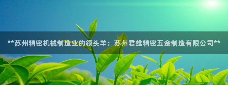 彩神v8下载app