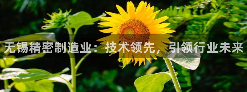 彩神v平台