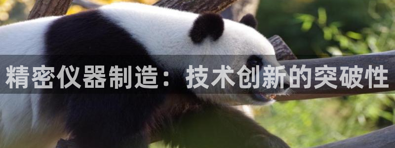 彩神新微聊