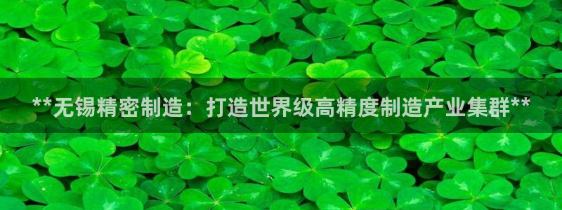 彩神V8有限公司：**无锡精密制造：打造世界级高精度制造产业集群**