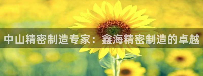 彩神ⅴll用户登录