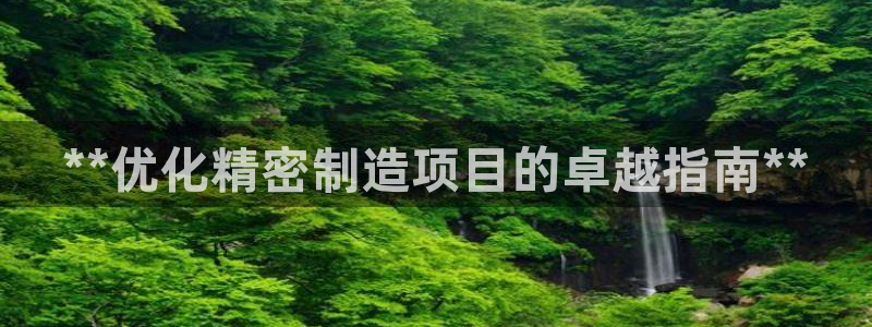 彩神ix平台：**优化精密制造项目的卓越指南**