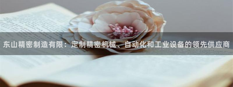 彩神v8手机客户端下载：东山精密制造有限：定制精密机械、自动化和工业设备的领先供应商