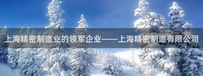 彩神v8下载app：上海精密制造业的领军企业——上海精密制造有限公司