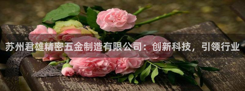 彩神 好 平台：苏州君雄精密五金制造有限公司：创新科技，引领行业