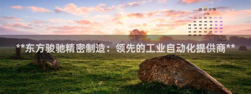 彩神赢的钱是哪里来的啊：**东方骏驰精密制造：领先的工业自动化提供商**