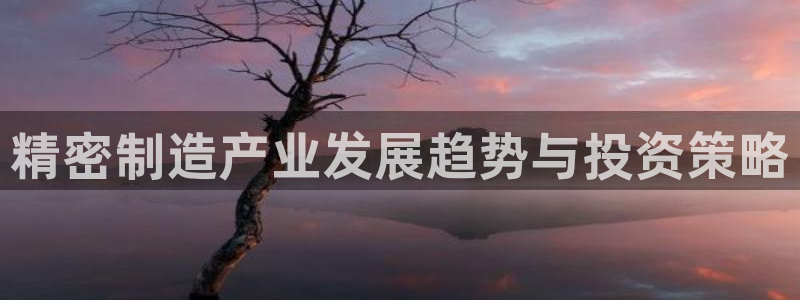 彩神平台能提现吗：精密制造产业发展趋势与投资策略
