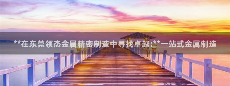 彩神用户登录：**在东莞领杰金属精密制造中寻找卓越:**一站式金属制造