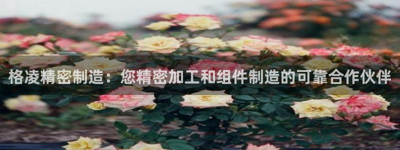 彩神通官方网：格凌精密制造：您精密加工和组件制造的可靠合作伙伴