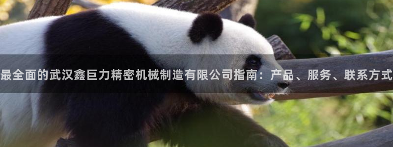 下载彩神乐发V：最全面的武汉鑫巨力精密机械制造有限公司指南：产品、服务、联系方式