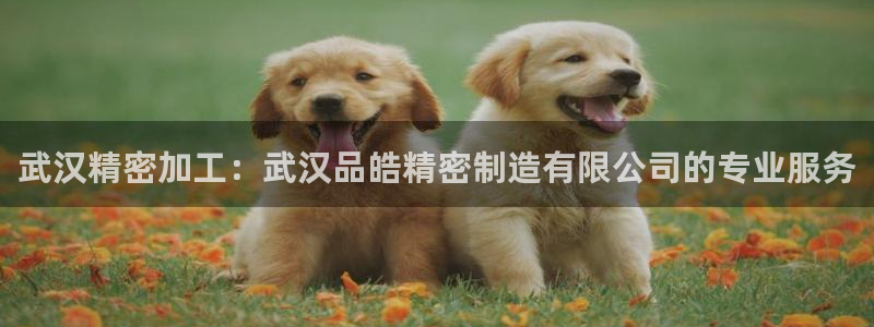 彩神vi官网版：武汉精密加工：武汉品皓精密制造有限公司的专业服务