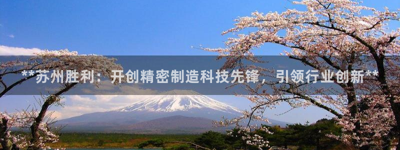 彩神V8平台：**苏州胜利：开创精密制造科技先锋，引领行业创新**