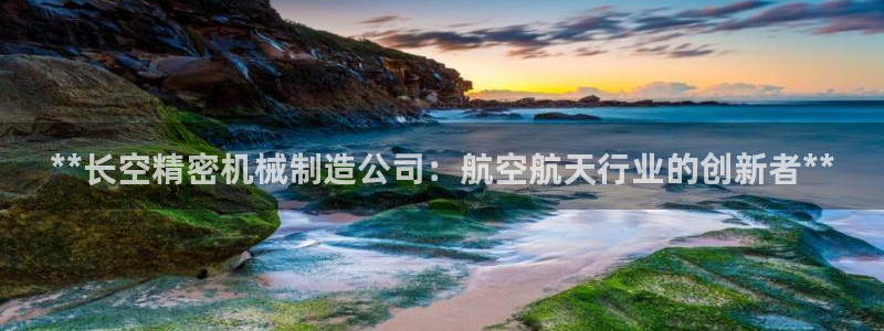 彩神购彩-购彩大厅入口500：**长空精密机械制造公司：航空航天行业的创新者**