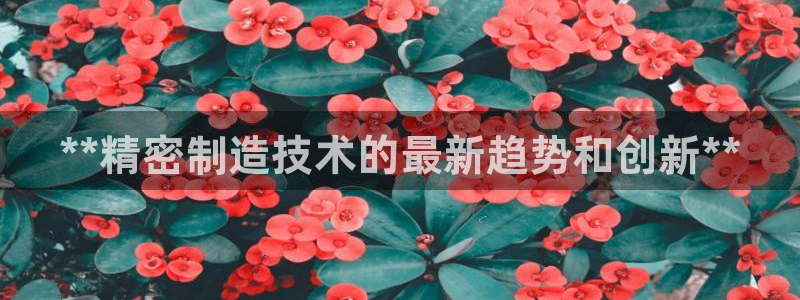 彩神v破解版：**精密制造技术的最新趋势和创新**