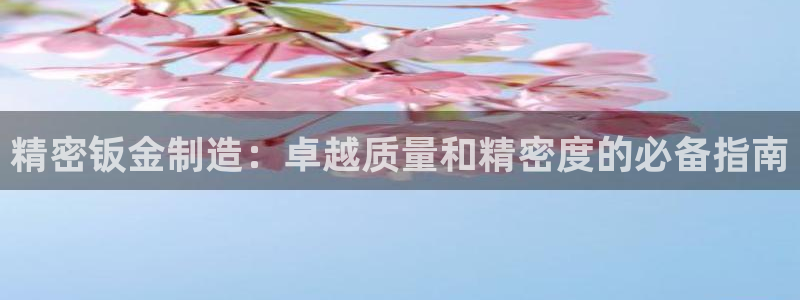 彩神是什么平台：精密钣金制造：卓越质量和精密度的必备指南