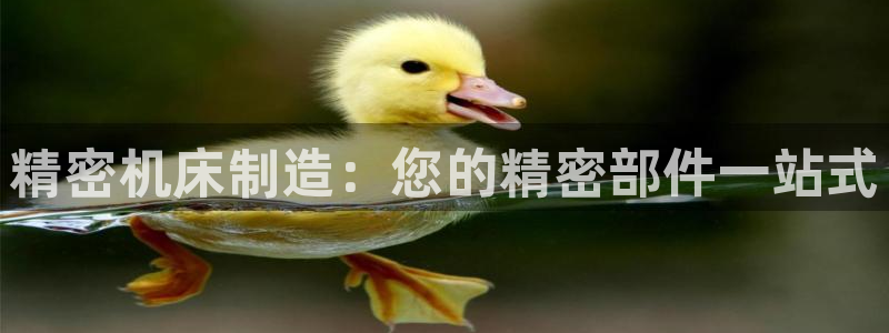 彩神vip购彩大厅：精密机床制造：您的精密部件一站式
