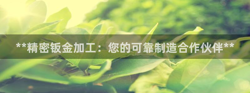 彩神V8平台：**精密钣金加工：您的可靠制造合作伙伴**