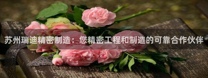彩神V购彩大厅：苏州瑞迪精密制造：您精密工程和制造的可靠合作伙伴