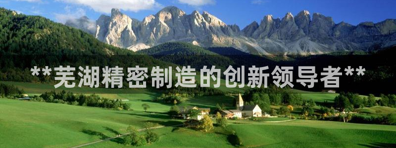 彩神系列平台：**芜湖精密制造的创新领导者**