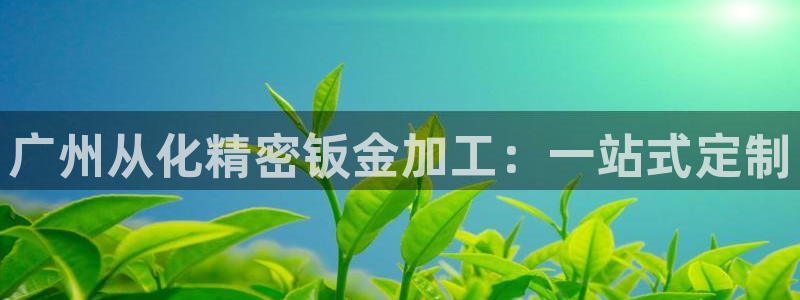 彩神网合法吗：广州从化精密钣金加工：一站式定制