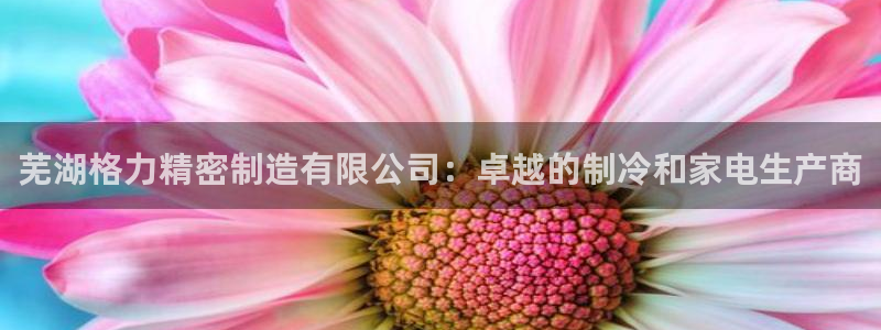 彩神平台能提现吗：芜湖格力精密制造有限公司：卓越的制冷和家电生产商