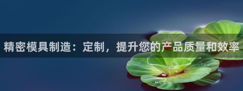 彩神v违法么：精密模具制造：定制，提升您的产品质量和效率