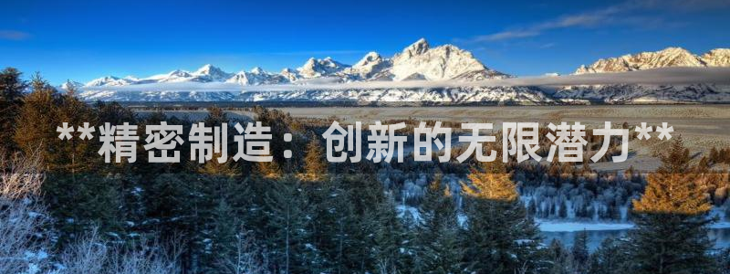 大发彩神最高邀请码：**精密制造：创新的无限潜力**