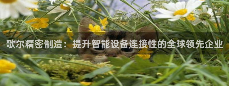 彩神ii官方网：歌尔精密制造：提升智能设备连接性的全球领先企业