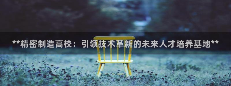 彩神大发云：**精密制造高校：引领技术革新的未来人才培养基地**