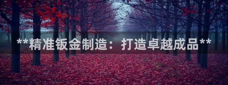 彩神怎么样可以提现：**精准钣金制造：打造卓越成品**
