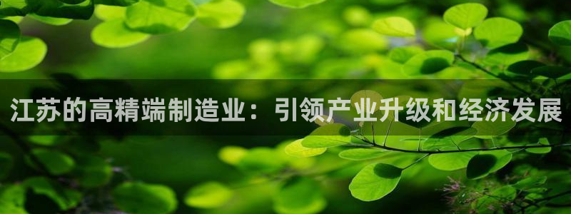 彩神v8是真的挣钱吗安全吗：江苏的高精端制造业：引领产业升级和经济发展