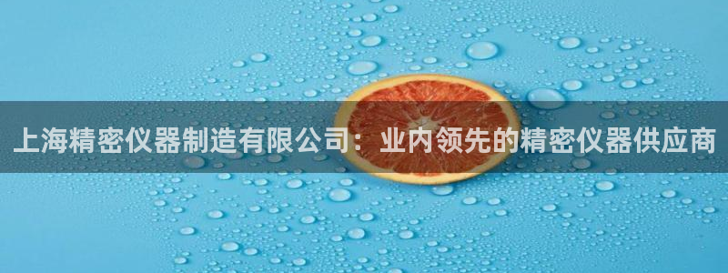 彩神是真的吗：上海精密仪器制造有限公司：业内领先的精密仪器供应商