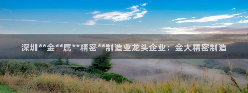 彩神vlll游戏特色：深圳**金**属**精密**制造业龙头企业：金大精密制造