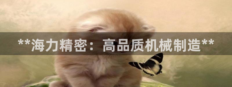彩神是怎样一个平台：**海力精密：高品质机械制造**