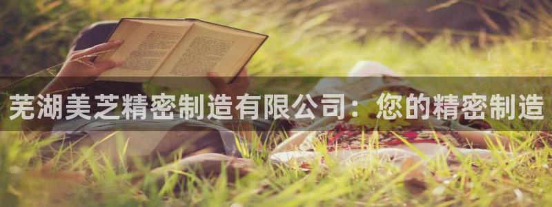 彩神ios下载：芜湖美芝精密制造有限公司：您的精密制造