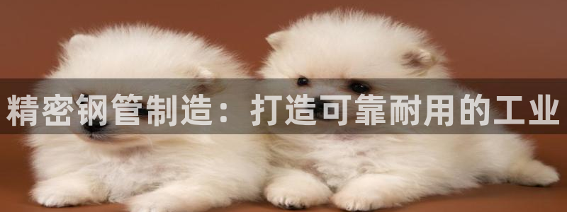彩神v下载安装：精密钢管制造：打造可靠耐用的工业
