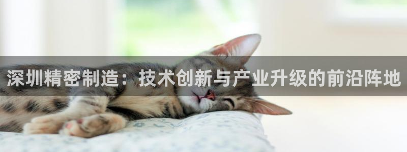 彩神争霸官方登录：深圳精密制造：技术创新与产业升级的前沿阵地
