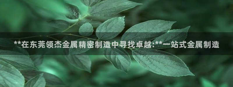 彩神8彩平台客服：**在东莞领杰金属精密制造中寻找卓越:**一站式金属制造