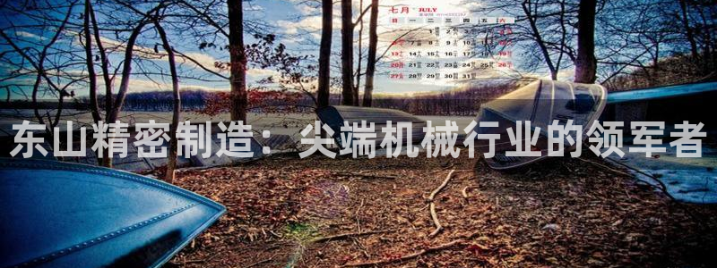 彩神大发三期计划网站：东山精密制造：尖端机械行业的领军者