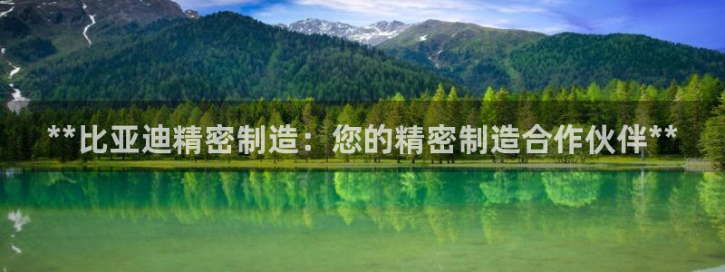 彩神大发三期计划网站：**比亚迪精密制造：您的精密制造合作伙伴**